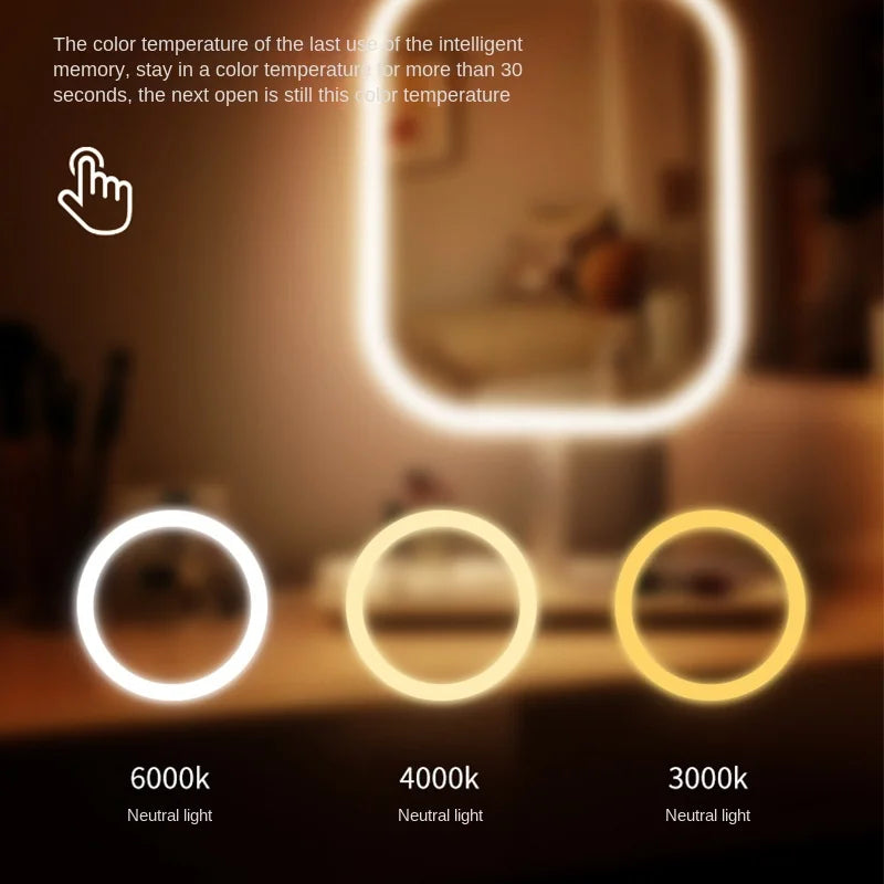 Vanity LED Makeup Mirror