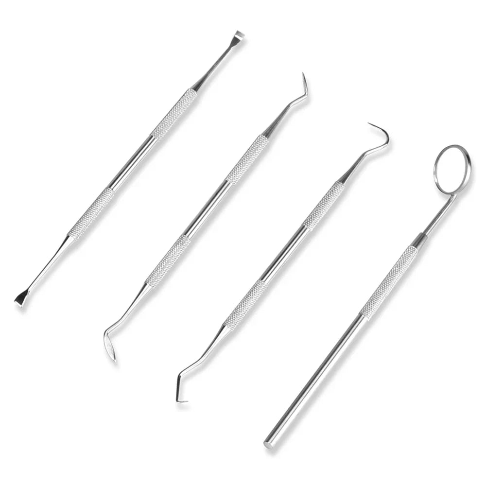Dental Cleaning Kit Stainless Steel Tartar Scaler Teeth Whitening Tools Oral Care Portable Dentist Set with Endoscopic Cleaner