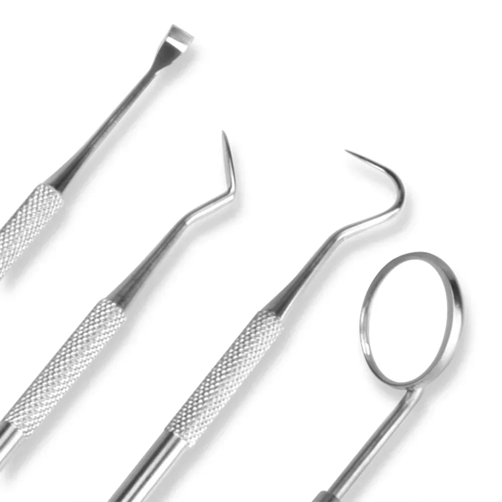 Dental Cleaning Kit Stainless Steel Tartar Scaler Teeth Whitening Tools Oral Care Portable Dentist Set with Endoscopic Cleaner